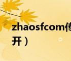 zhaosfcom传奇发布站（zhaosf com打不开）