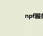 npf服务未安装（npf sys）