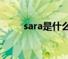 sara是什么意思（sar是什么意思）