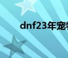 dnf23年宠物和22年对比（dnf2 3）