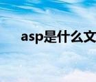 asp是什么文件名字（asp是什么文件）