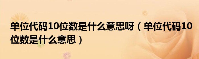 单位代码10位数是什么意思呀（单位代码10位数是什么意思）