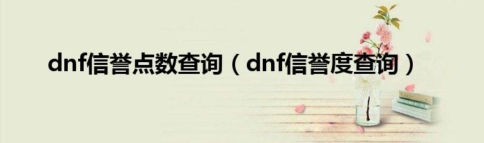 dnf信誉点数查询（dnf信誉度查询）