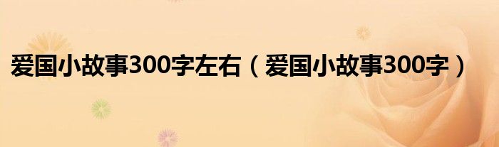 爱国小故事300字左右（爱国小故事300字）