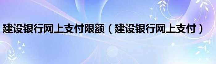 建设银行网上支付限额（建设银行网上支付）