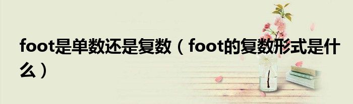 foot是单数还是复数（foot的复数形式是什么）