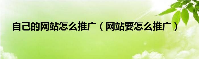 自己的网站怎么推广（网站要怎么推广）