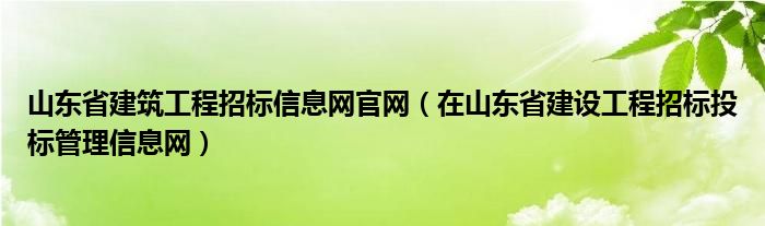 山东省建筑工程招标信息网官网（在山东省建设工程招标投标管理信息网）