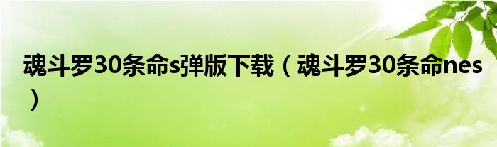 魂斗罗30条命s弹版下载（魂斗罗30条命nes）