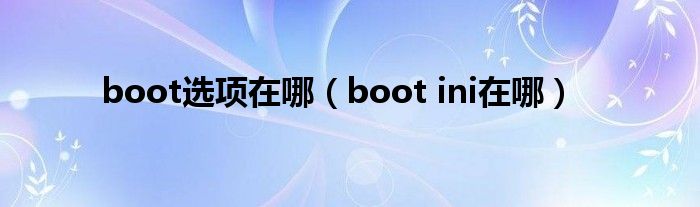 boot选项在哪（boot ini在哪）