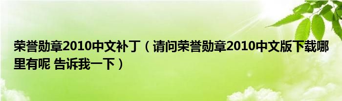 荣誉勋章2010中文补丁（请问荣誉勋章2010中文版下载哪里有呢 告诉我一下）