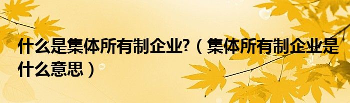 什么是集体所有制企业?（集体所有制企业是什么意思）