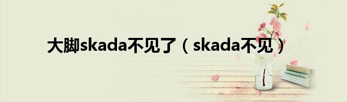 大脚skada不见了（skada不见）