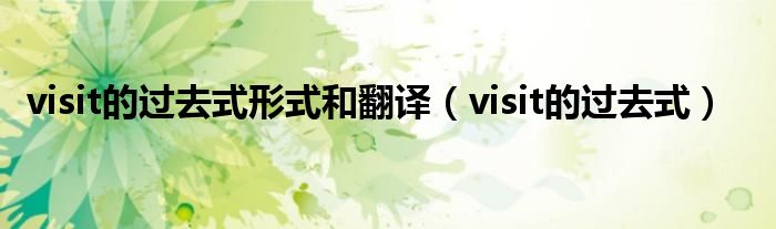 visit的过去式形式和翻译（visit的过去式）