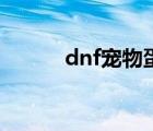 dnf宠物蛋怎么弄（dnf宠物蛋）