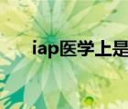 iap医学上是什么意思（iap cracker）