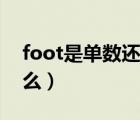 foot是单数还是复数（foot的复数形式是什么）