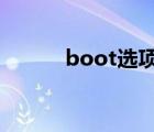 boot选项在哪（boot ini在哪）