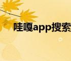 哇嘎app搜索不出东西（哇嘎不能搜索）