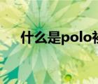 什么是polo衫怎么读（什么是polo衫）