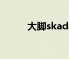 大脚skada不见了（skada不见）