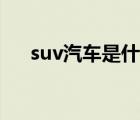 suv汽车是什么意思（suv是什么意思）