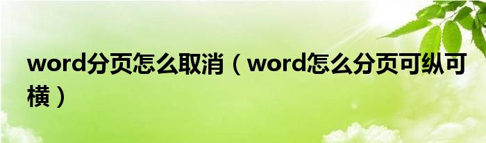 word分页怎么取消（word怎么分页可纵可横）