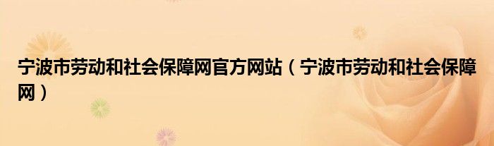 宁波市劳动和社会保障网官方网站（宁波市劳动和社会保障网）