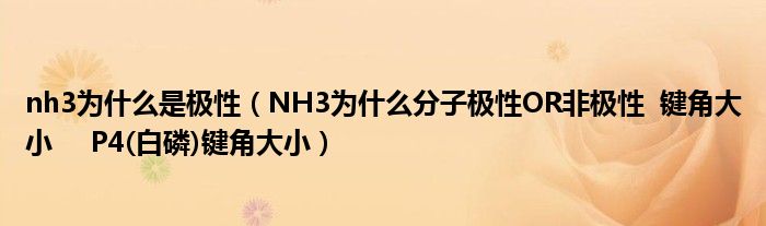 nh3为什么是极性（NH3为什么分子极性OR非极性  键角大小     P4(白磷)键角大小）