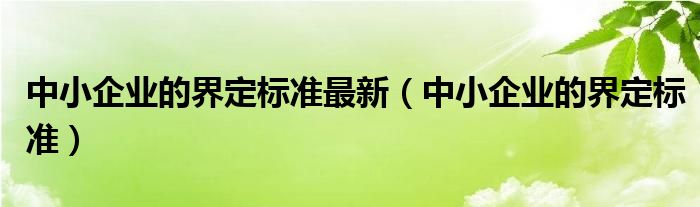 中小企业的界定标准最新（中小企业的界定标准）