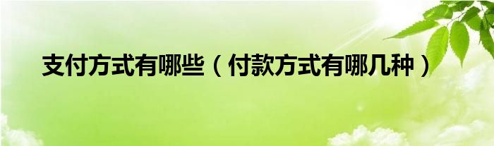 支付方式有哪些（付款方式有哪几种）