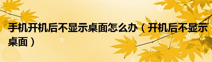 手机开机后不显示桌面怎么办（开机后不显示桌面）