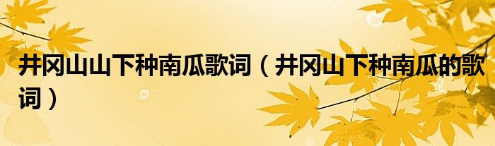 井冈山山下种南瓜歌词（井冈山下种南瓜的歌词）