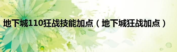 地下城110狂战技能加点（地下城狂战加点）