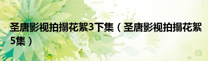 圣唐影视拍搨花絮3下集（圣唐影视拍搨花絮5集）