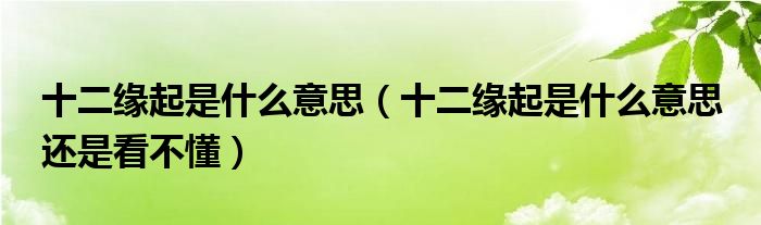 十二缘起是什么意思（十二缘起是什么意思 还是看不懂）