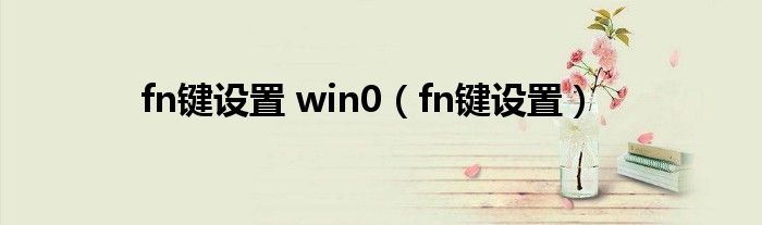 fn键设置 win0（fn键设置）