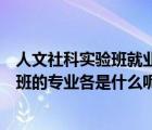 人文社科实验班就业方向（人文科学实验班跟社会科学实验班的专业各是什么呢）