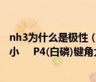 nh3为什么是极性（NH3为什么分子极性OR非极性  键角大小     P4(白磷)键角大小）