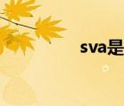 sva是什么意思（sva屏）