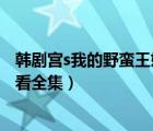 韩剧宫s我的野蛮王妃2国语版（韩剧宫我的野蛮王妃在线观看全集）