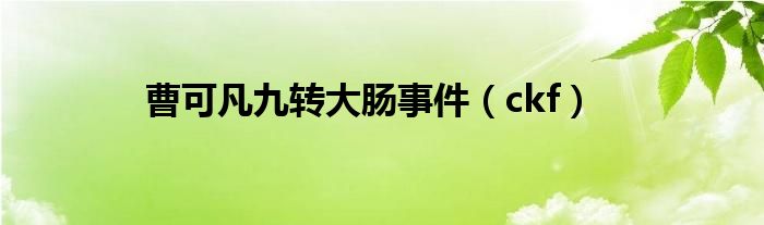 曹可凡九转大肠事件（ckf）