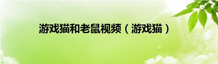 游戏猫和老鼠视频（游戏猫）