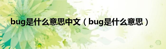 bug是什么意思中文（bug是什么意思）