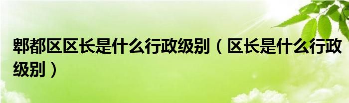 郫都区区长是什么行政级别（区长是什么行政级别）