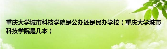 重庆大学城市科技学院是公办还是民办学校（重庆大学城市科技学院是几本）