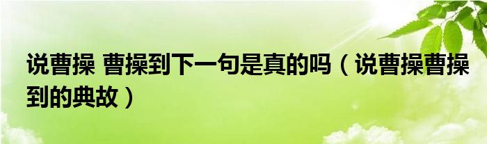 说曹操 曹操到下一句是真的吗（说曹操曹操到的典故）