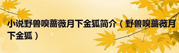 小说野兽嗅蔷薇月下金狐简介（野兽嗅蔷薇月下金狐）