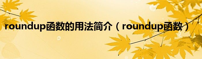 roundup函数的用法简介（roundup函数）