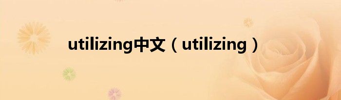 utilizing中文（utilizing）